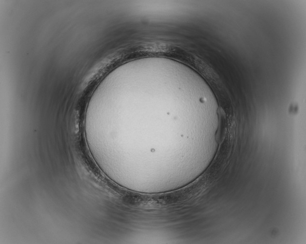 X0000111240731200907161340