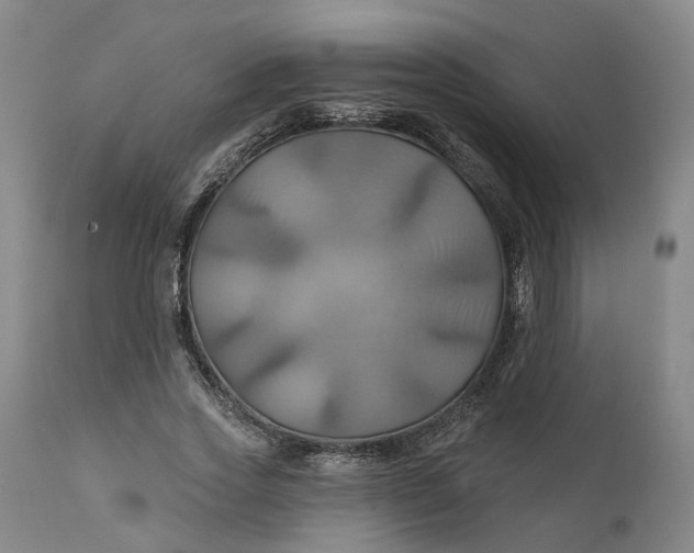 X0000111240733200907161340