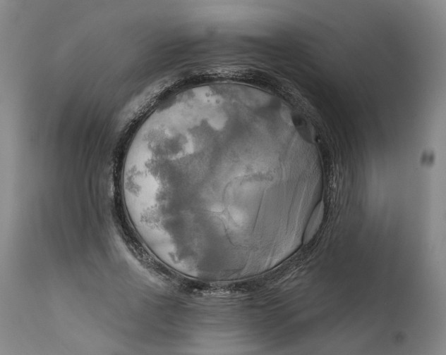 X0000111240734200907161340