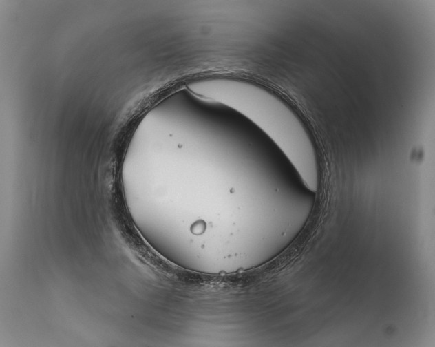 X0000111240736200907161340