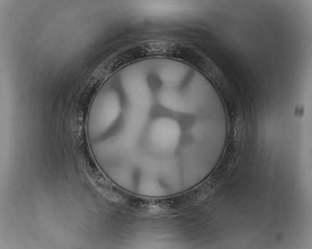 X0000111240737200907161340