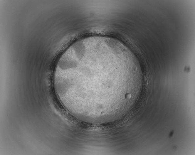 X0000111240738200907161340