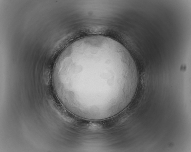 X0000111240741200907161340