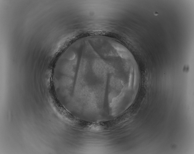 X0000111240742200907161340