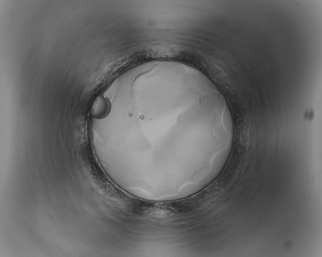 X0000111240743200907161340