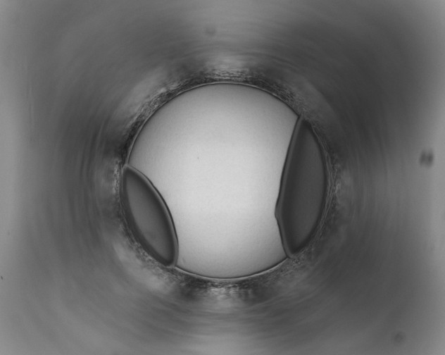 X0000111240744200907161340