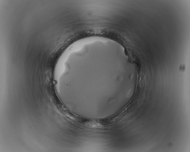 X0000111240747200907161340