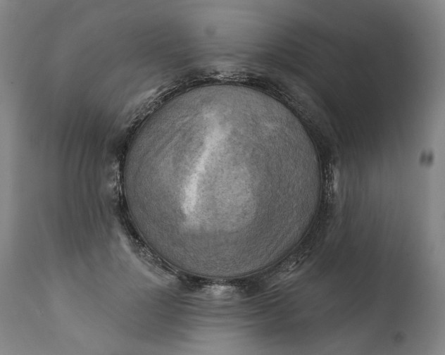 X0000111240748200907161340