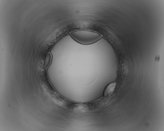 X0000111240750200907161340