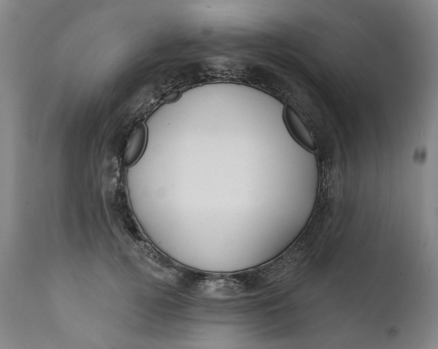 X0000111240752200907161341