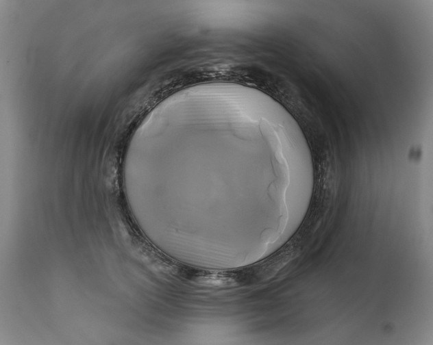 X0000111240754200907161341