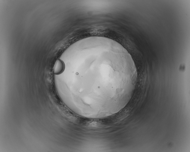 X0000111240755200907161341