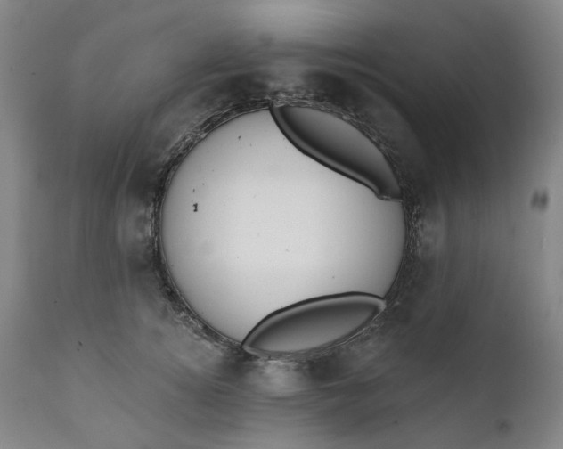 X0000111240756200907161341