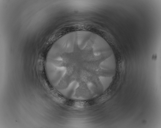 X0000111240757200907161341