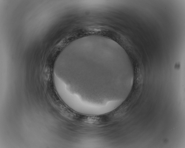 X0000111240758200907161341