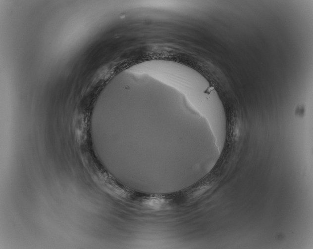 X0000111240759200907161341