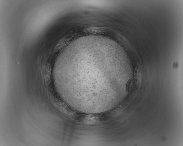 X0000111240760200907161341