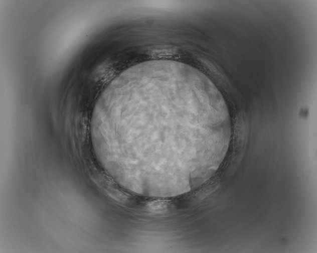 X0000111240761200907161341