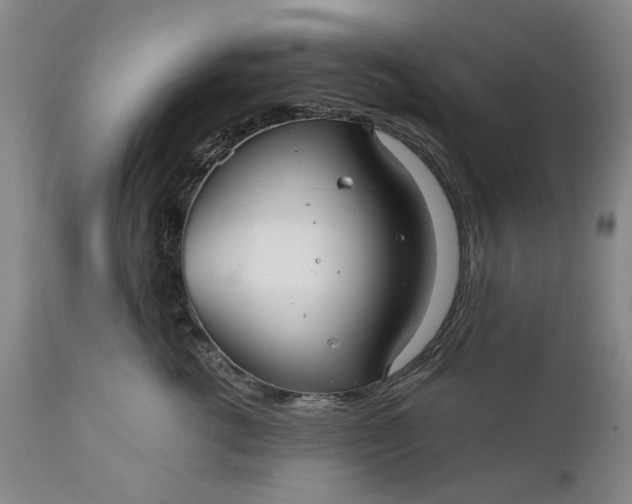 X0000111240762200907161341