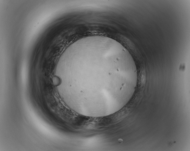 X0000111240764200907161341