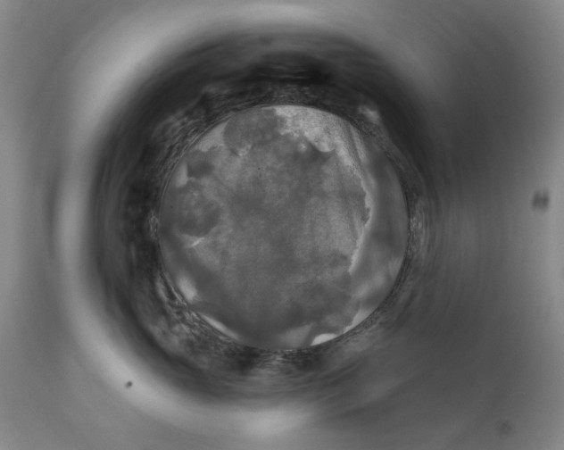 X0000111240765200907161341