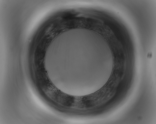 X0000111240766200907161341