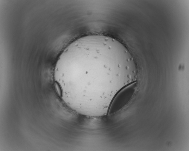 X0000111240768200907161341