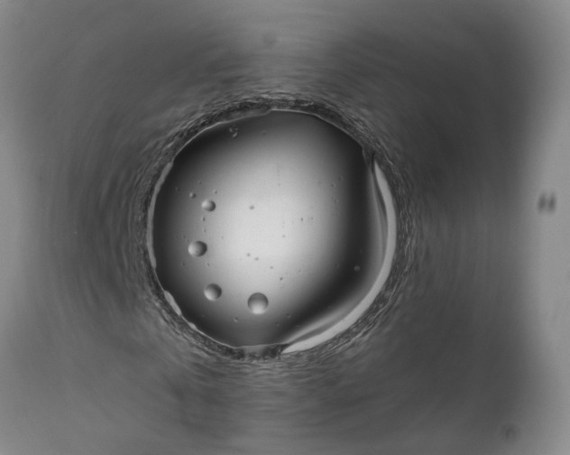 X0000111240769200907161340