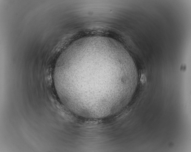 X0000111240771200907161340