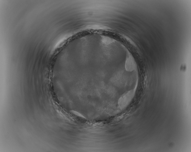 X0000111240775200907161340