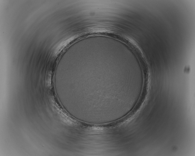 X0000111240777200907161340