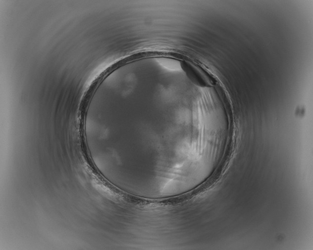 X0000111240779200907161340