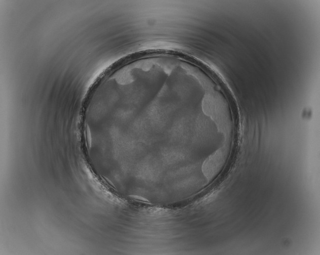 X0000111240783200907161340