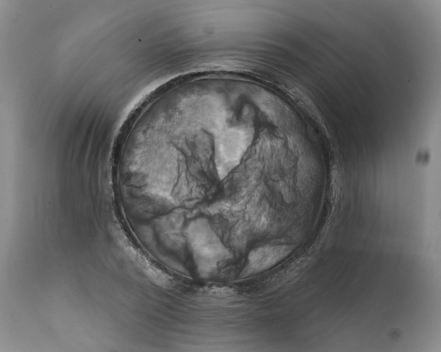 X0000111240784200907161340