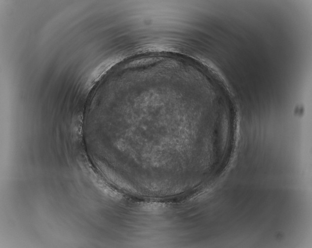 X0000111240785200907161340