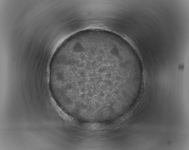 X0000111240791200907161340