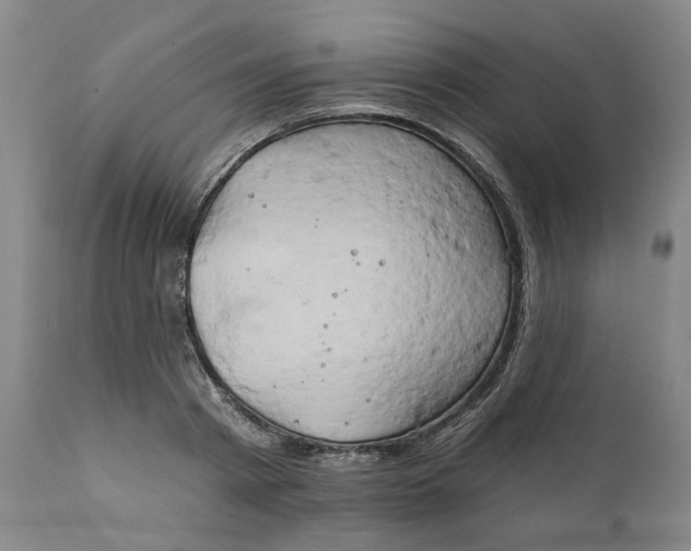 X0000111240793200907161340