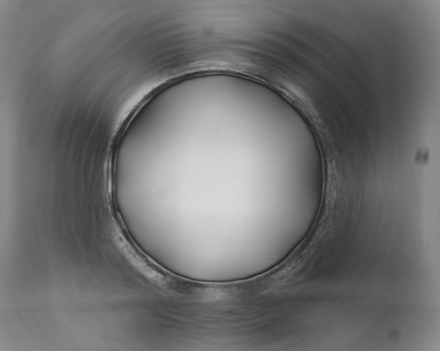 X0000111240796200907161340