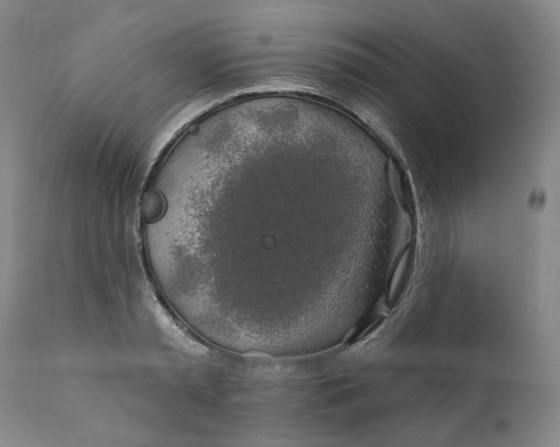 X0000111240797200907161340