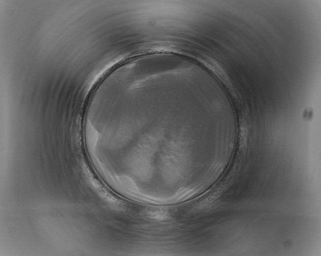 X0000111240798200907161340