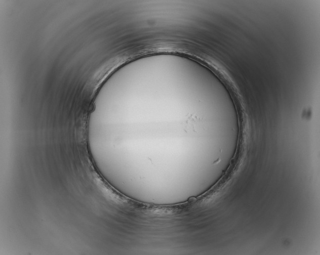 X0000111240801200907161339