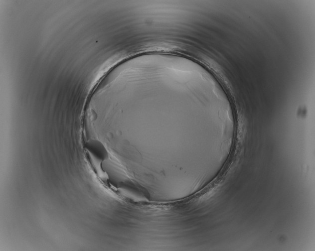 X0000111240802200907161339