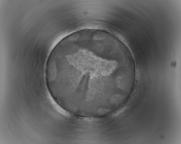 X0000111240803200907161339