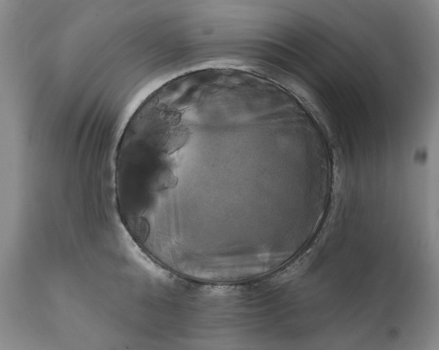 X0000111240808200907161339