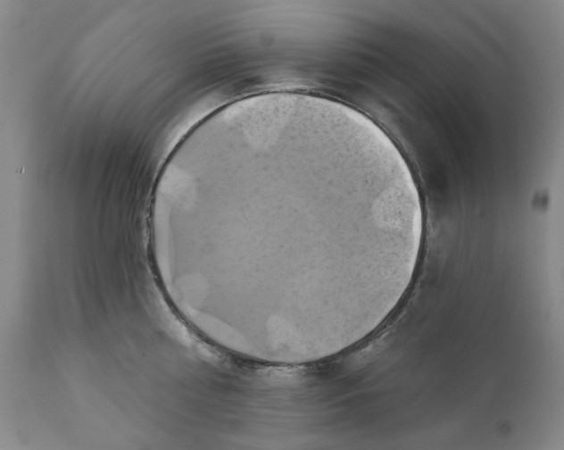 X0000111240810200907161339