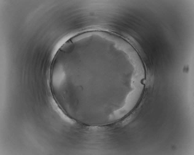 X0000111240812200907161339