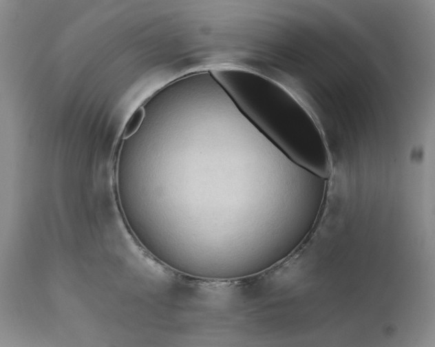 X0000111240813200907161339