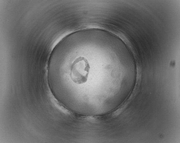 X0000111240814200907161339