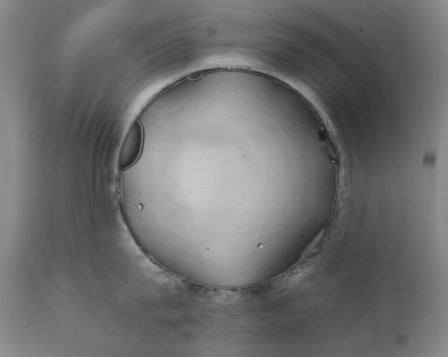 X0000111240815200907161339