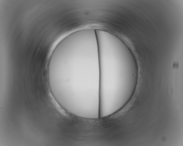 X0000111240816200907161339